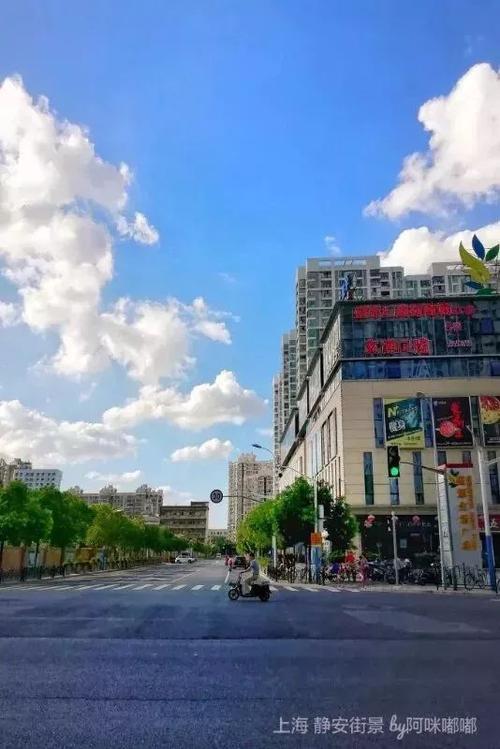 白露凋花花不残